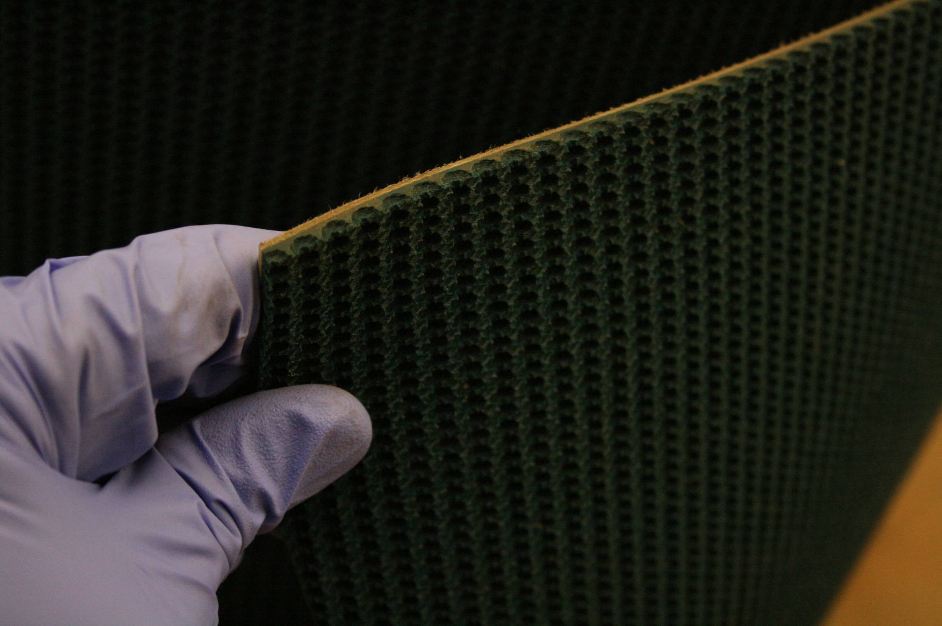 140' Forbo Siegling GREEN E3/1 Single Ply Fabric Conveyor Belt 14